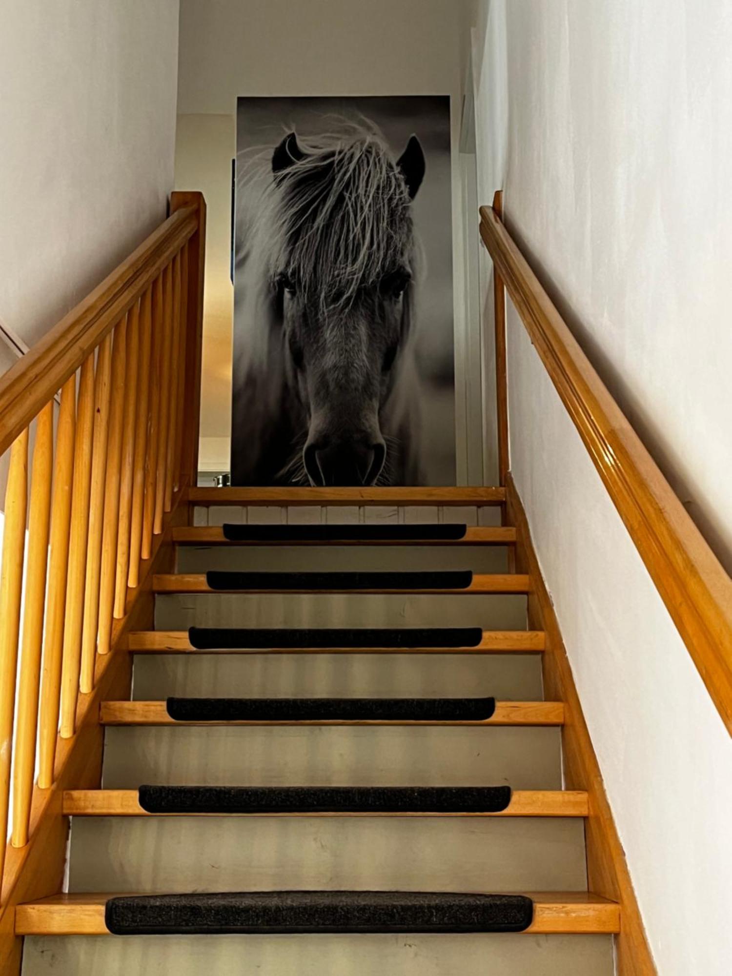 Ferienwohnungen Reiterhof Boltenhagen Ngoại thất bức ảnh