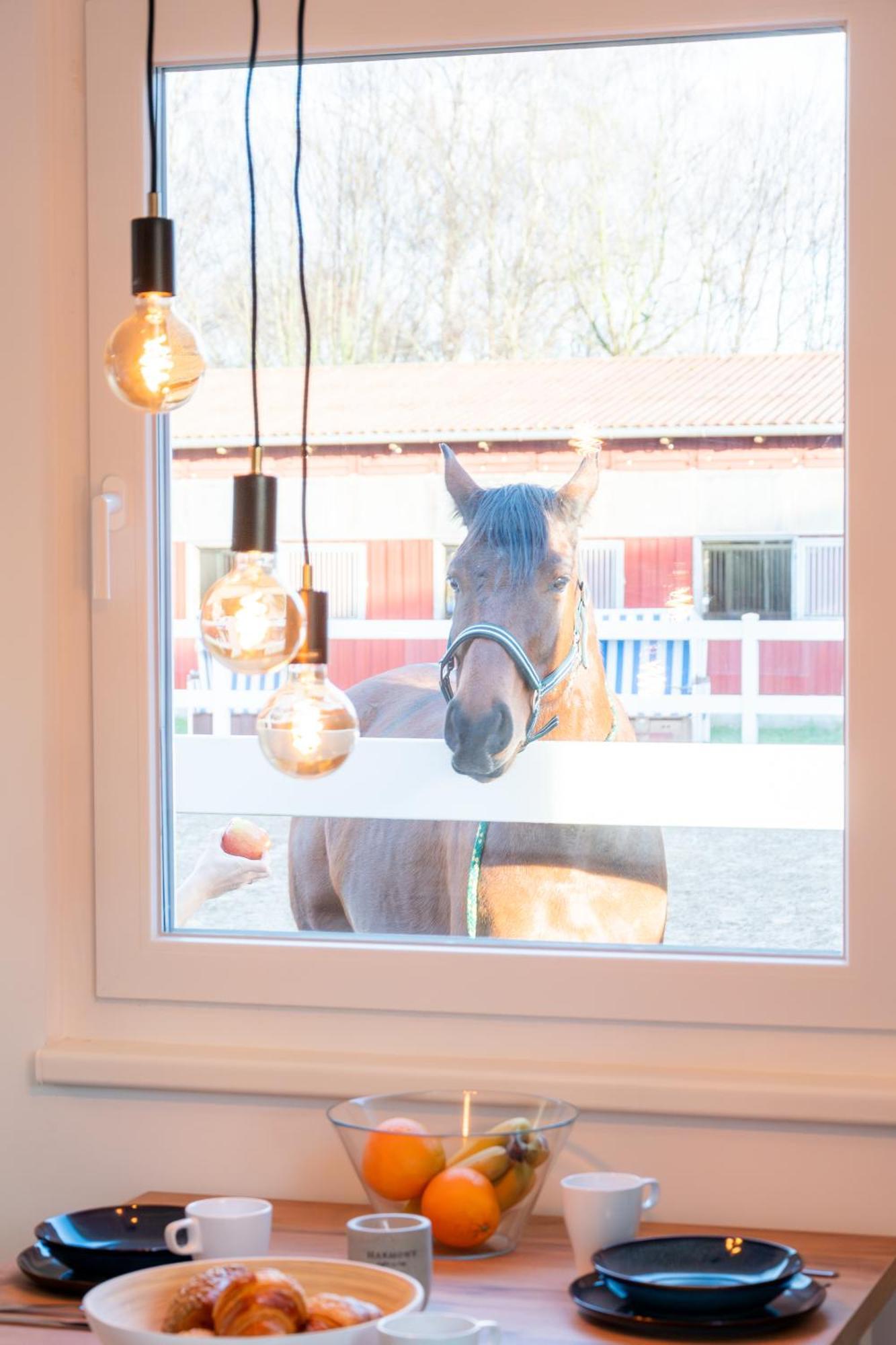 Ferienwohnungen Reiterhof Boltenhagen Ngoại thất bức ảnh